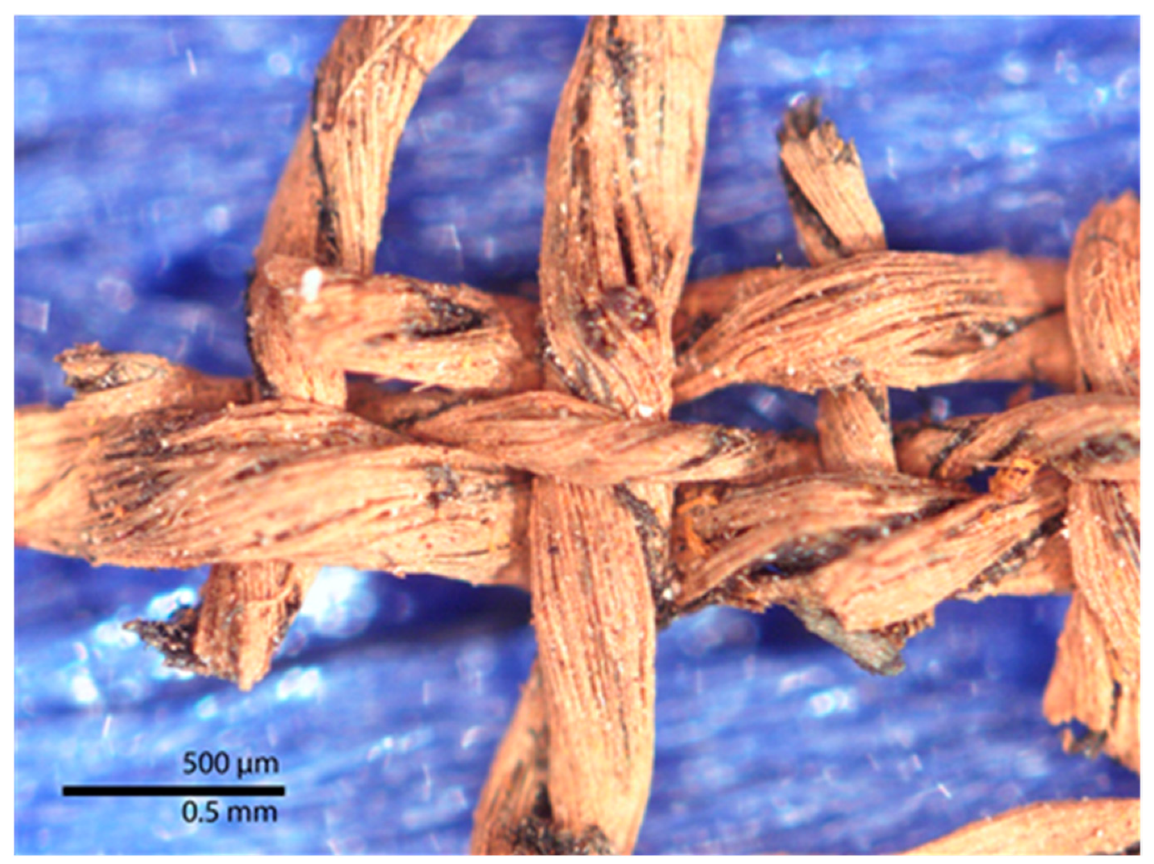 Heritage 06 00118 g020