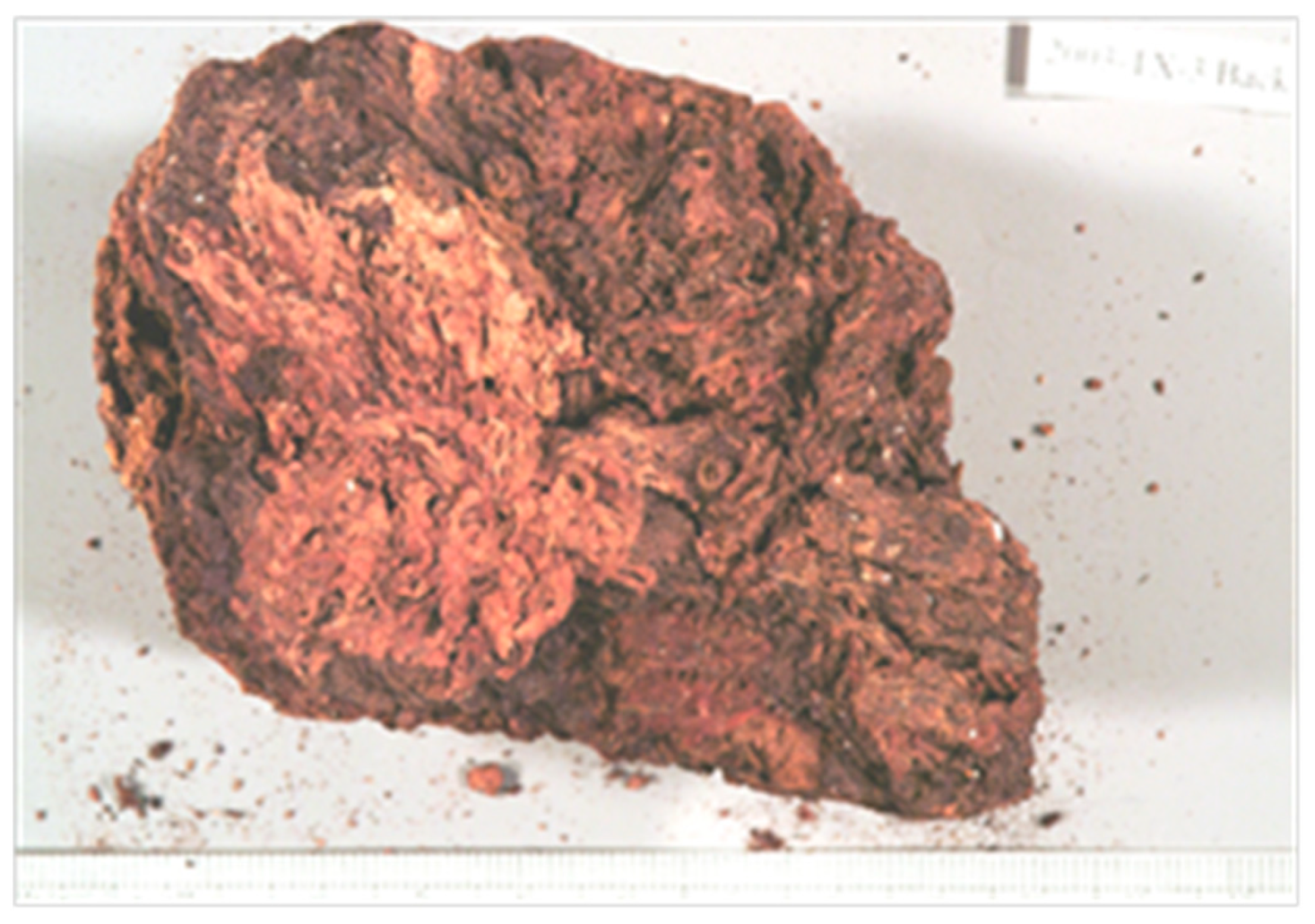 Heritage 06 00118 g022