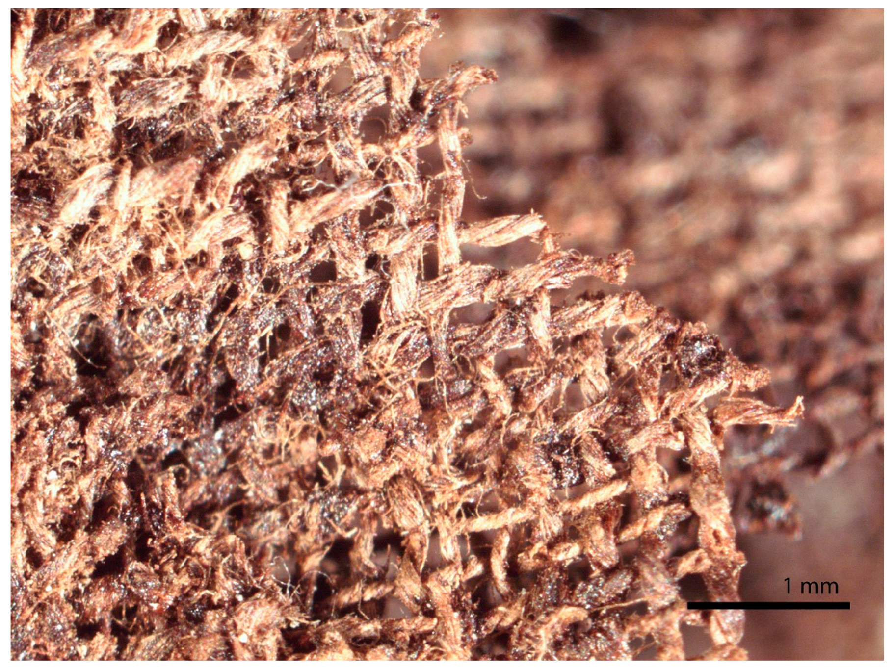 Heritage 06 00118 g031