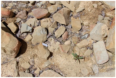 Heritage 06 00123 i008