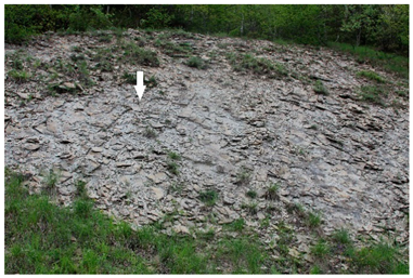 Heritage 06 00123 i013