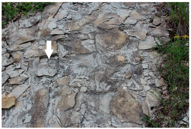 Heritage 06 00123 i014