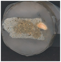 Heritage 06 00123 i028