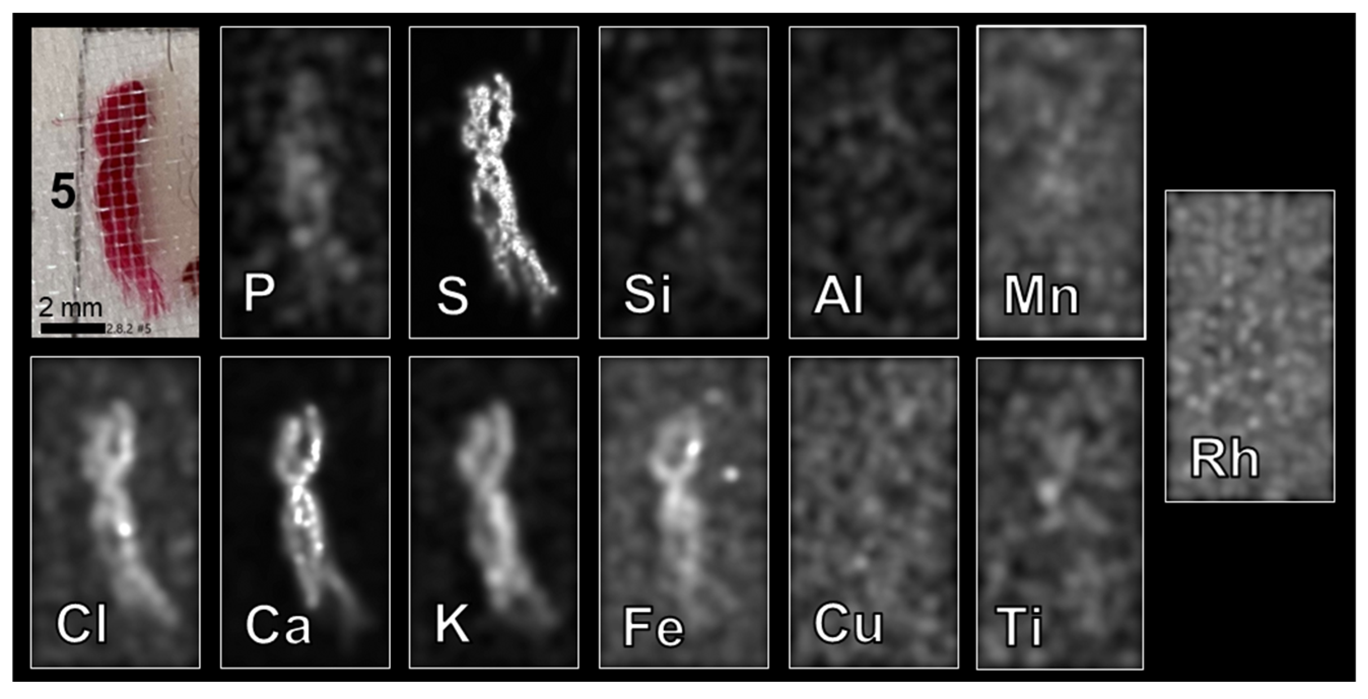 Heritage 06 00124 g013