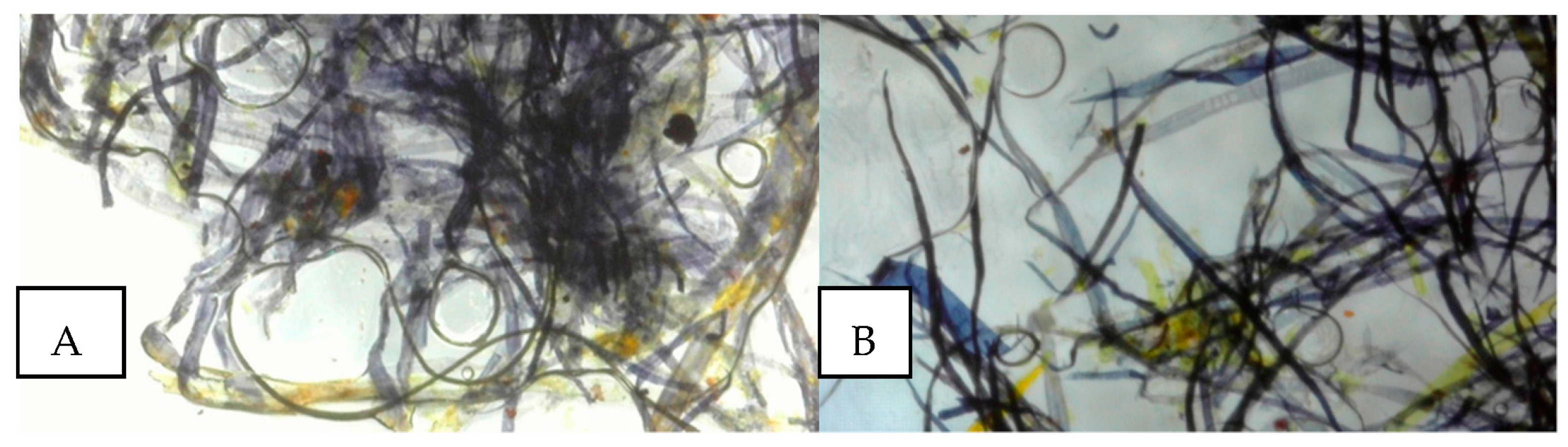 Heritage 06 00140 g006