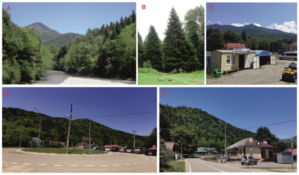 Heritage 06 00147 g002