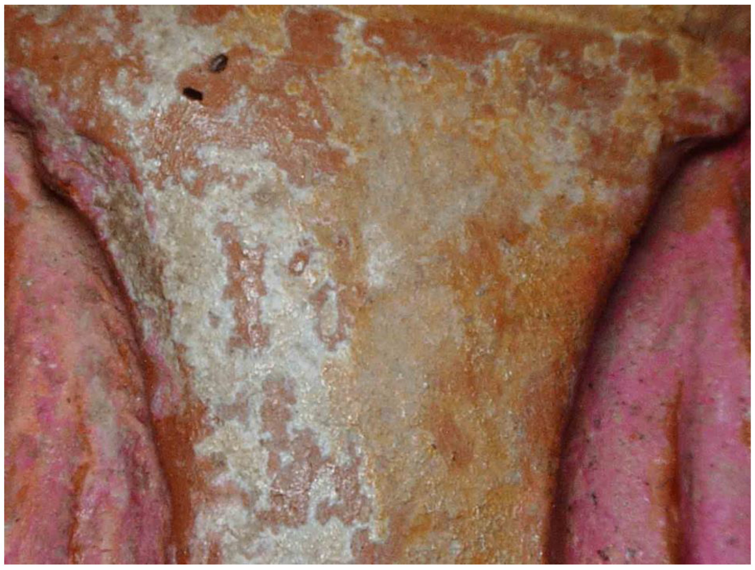 Heritage 06 00160 g022