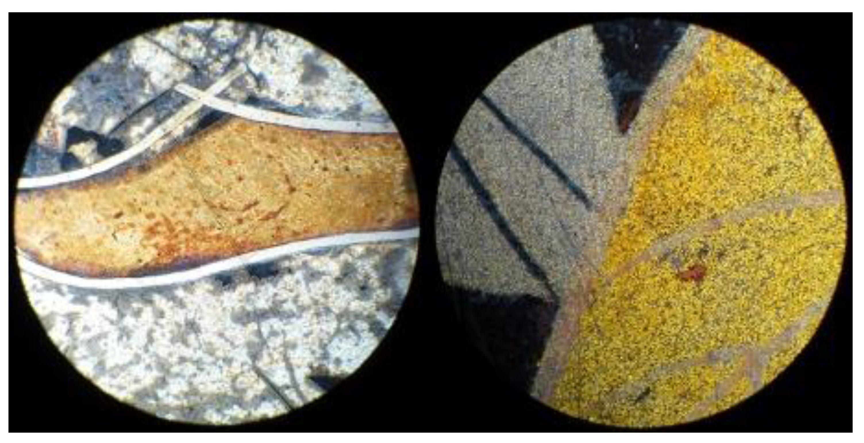 Heritage 06 00174 g008