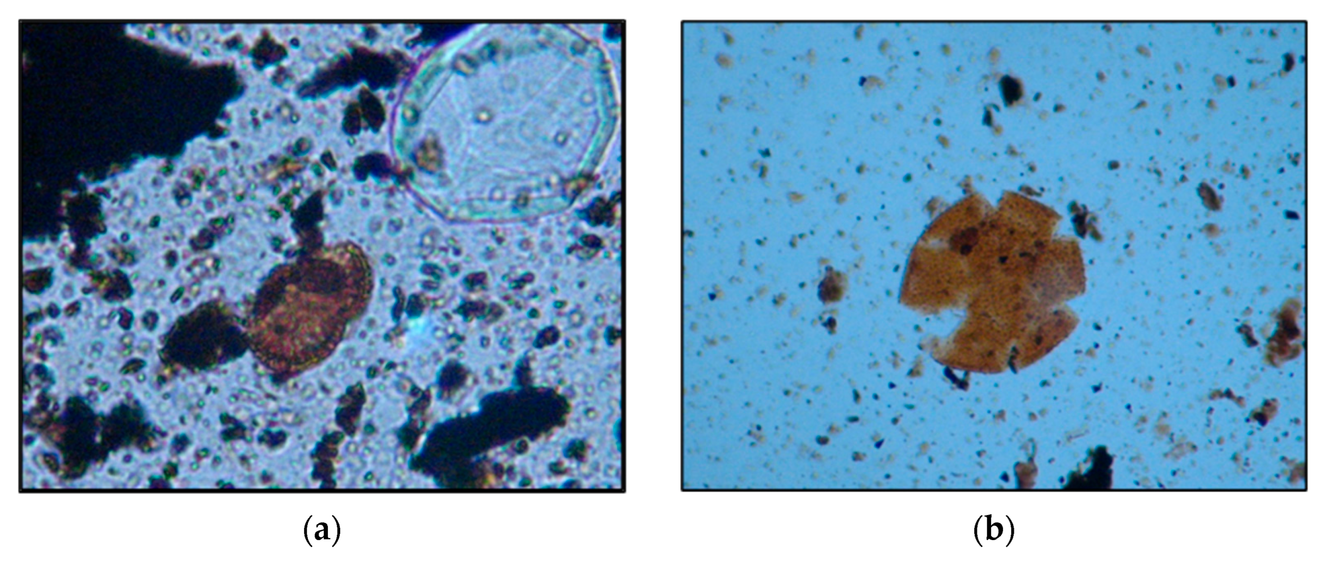 Heritage 06 00178 g007