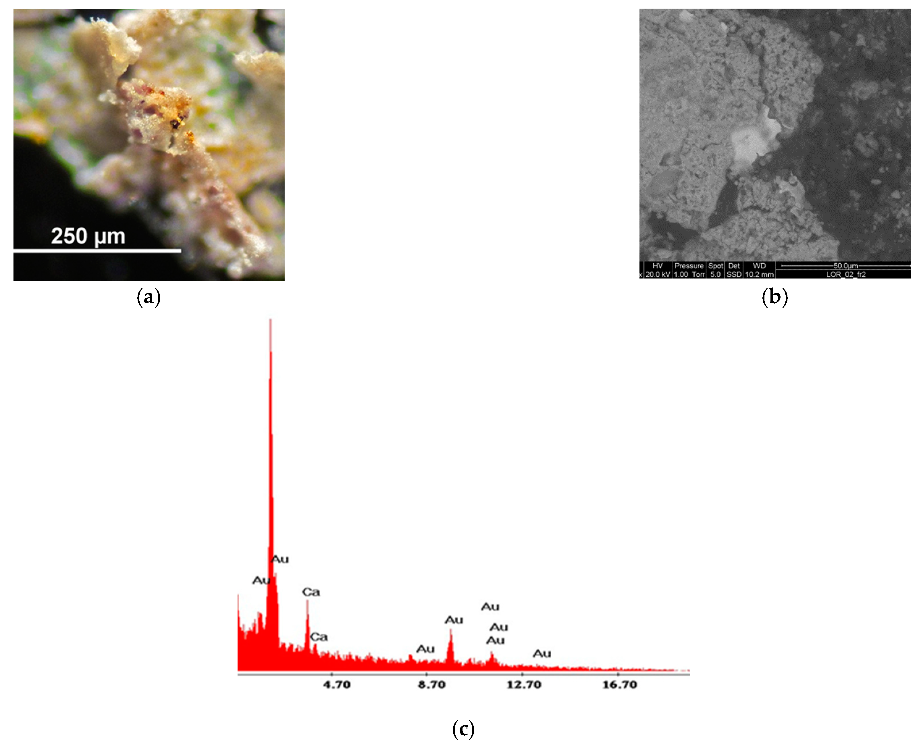 Heritage 06 00179 g015 Heritage 06 00179 g015