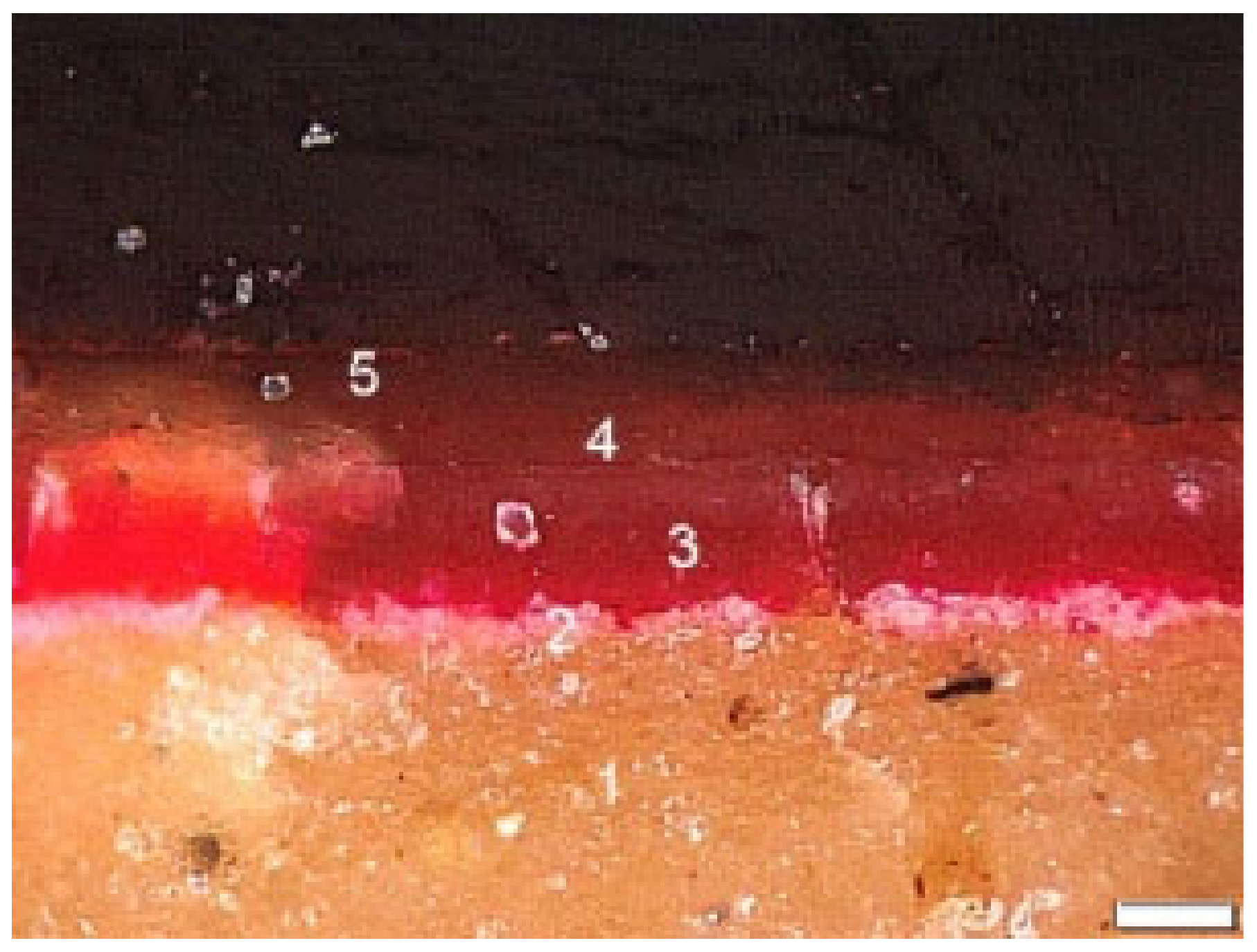 Heritage 06 00191 g005