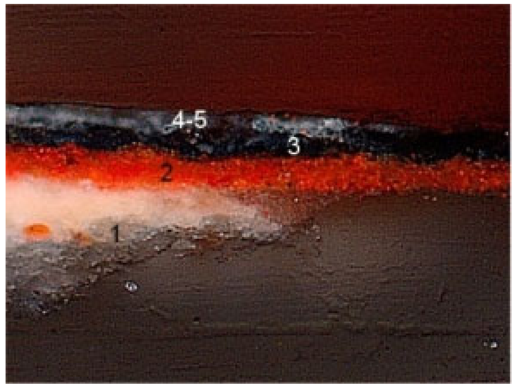 Heritage 06 00191 g012