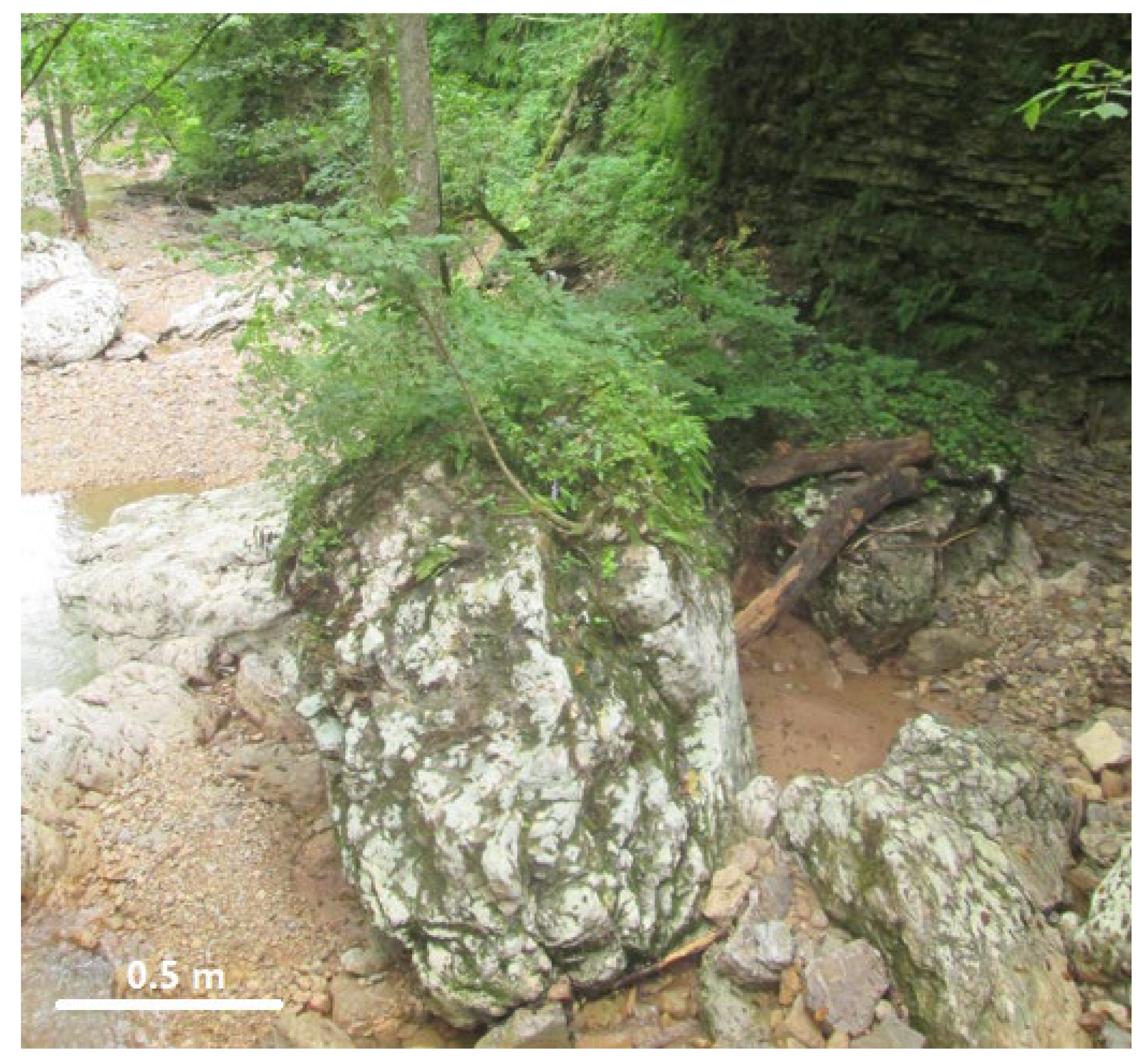 Heritage 06 00207 g004