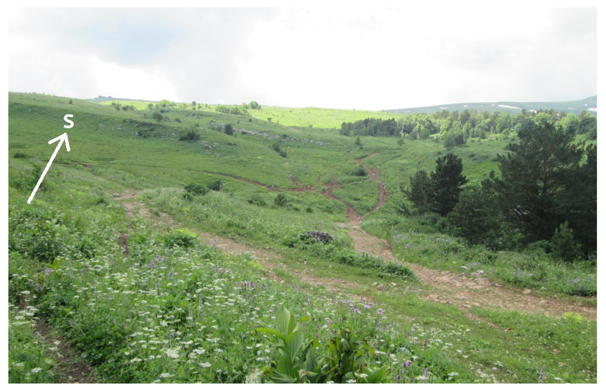 Heritage 06 00207 g007