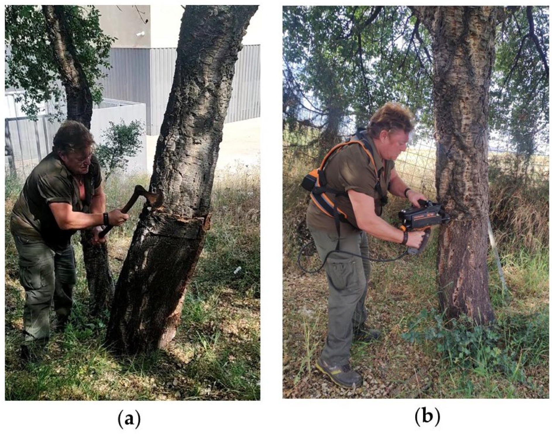 Heritage 06 00282 g003