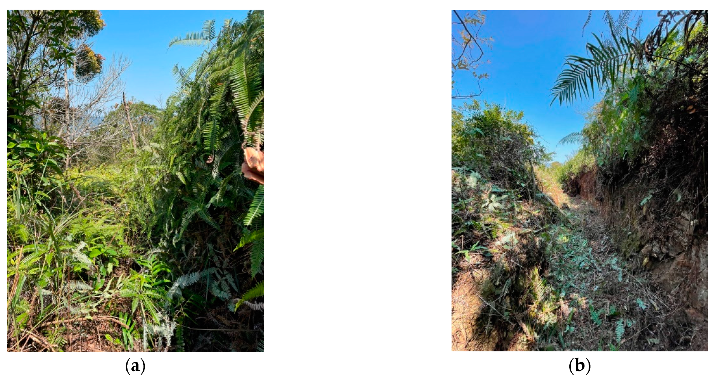 Heritage 06 00325 g012