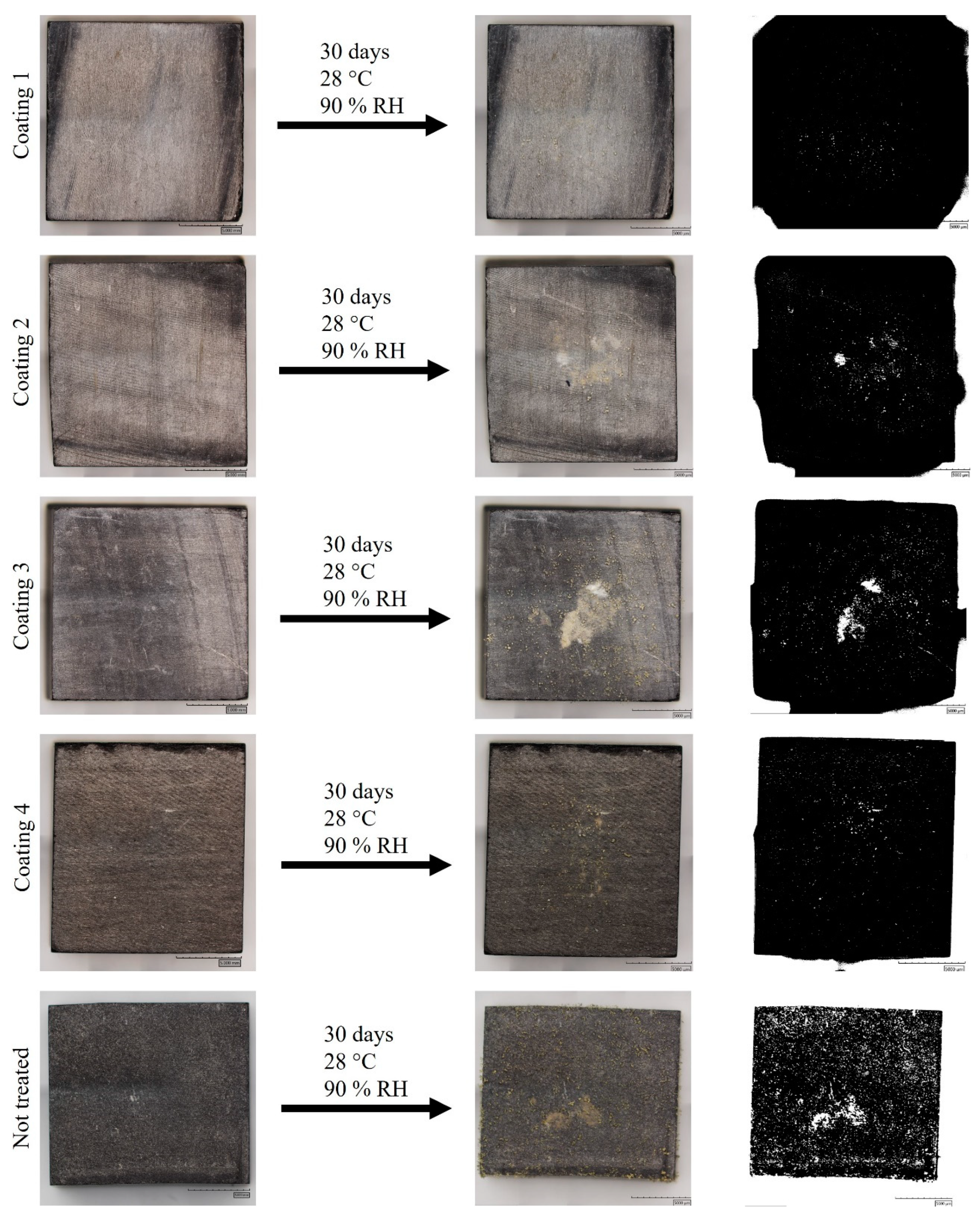 Heritage 06 00331 g003