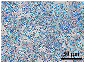 Heritage 06 00331 i017