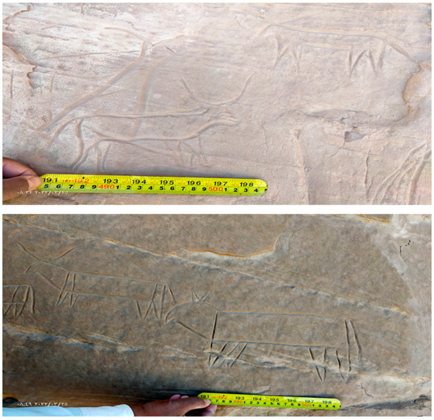 Heritage 06 00335 g006