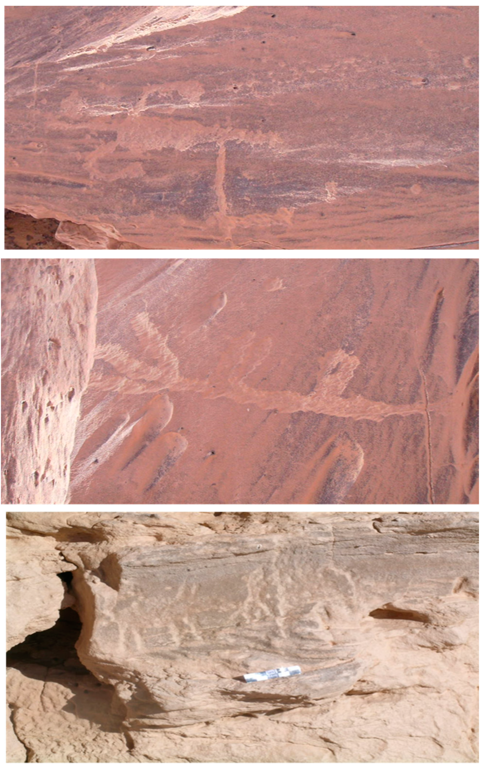 Heritage 06 00335 g008