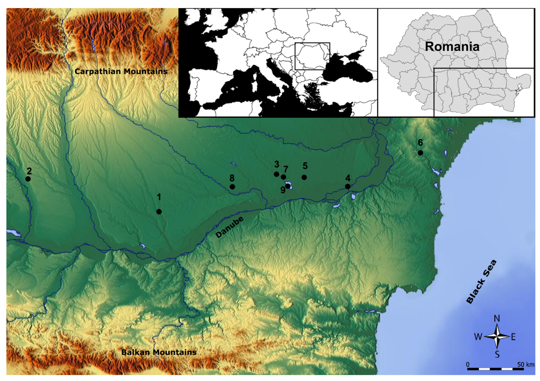 Heritage 06 00347 g001