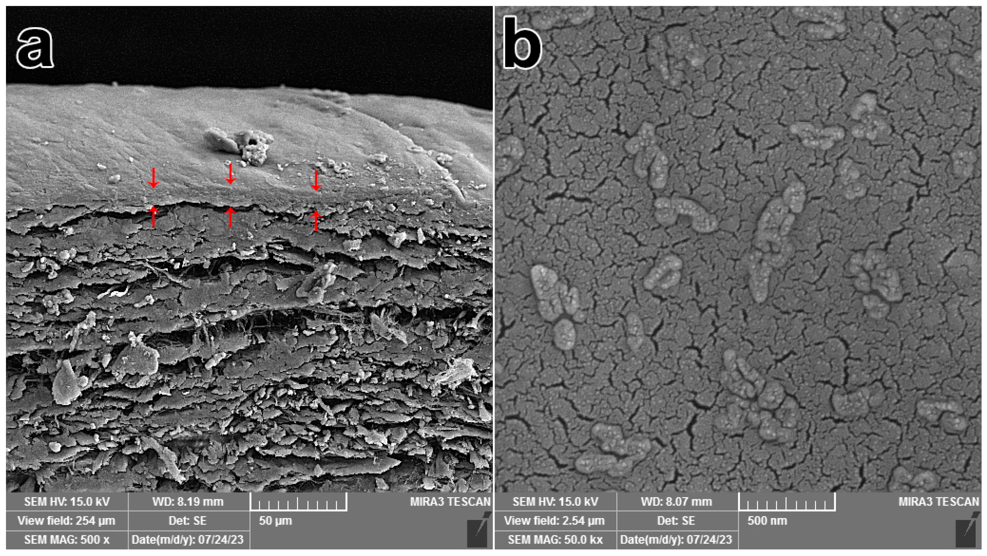 Heritage 06 00396 g001