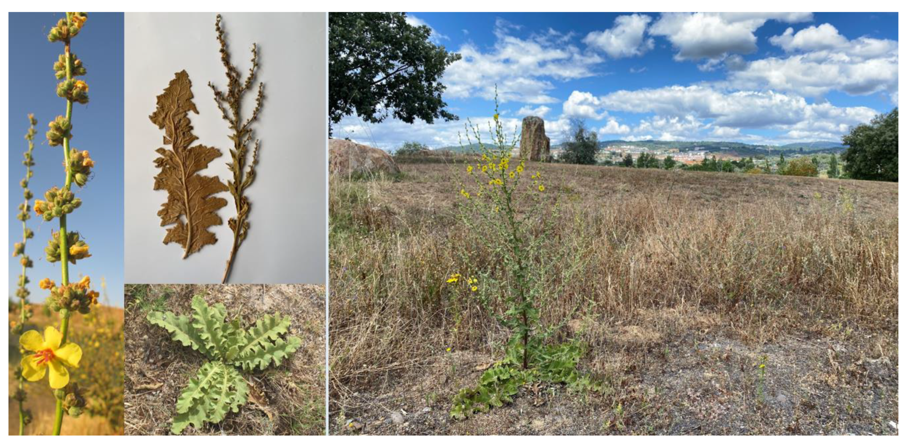 Heritage 07 00012 g002