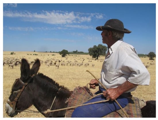 Heritage 07 00012 g0a1