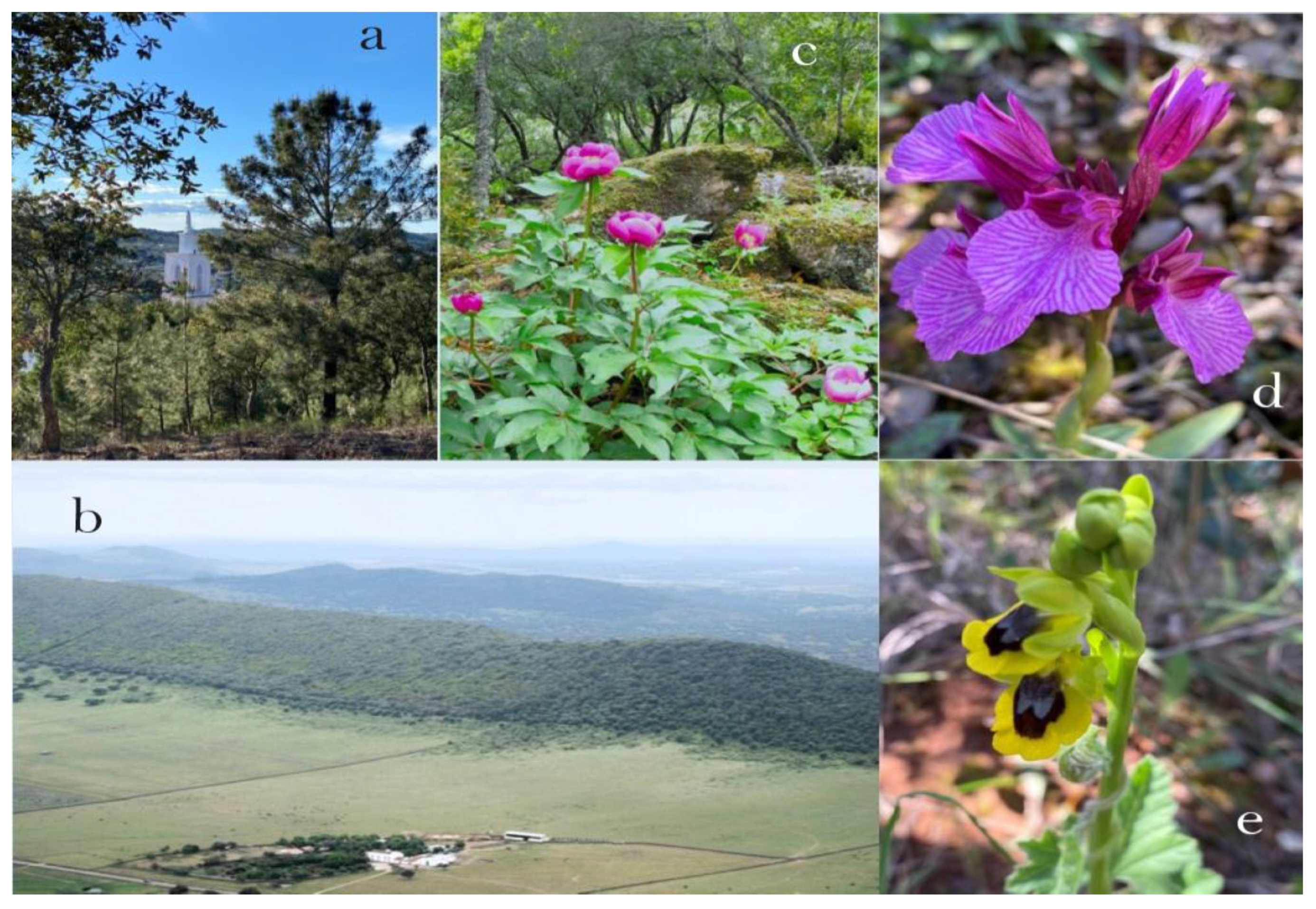 Heritage 07 00012 g0a2