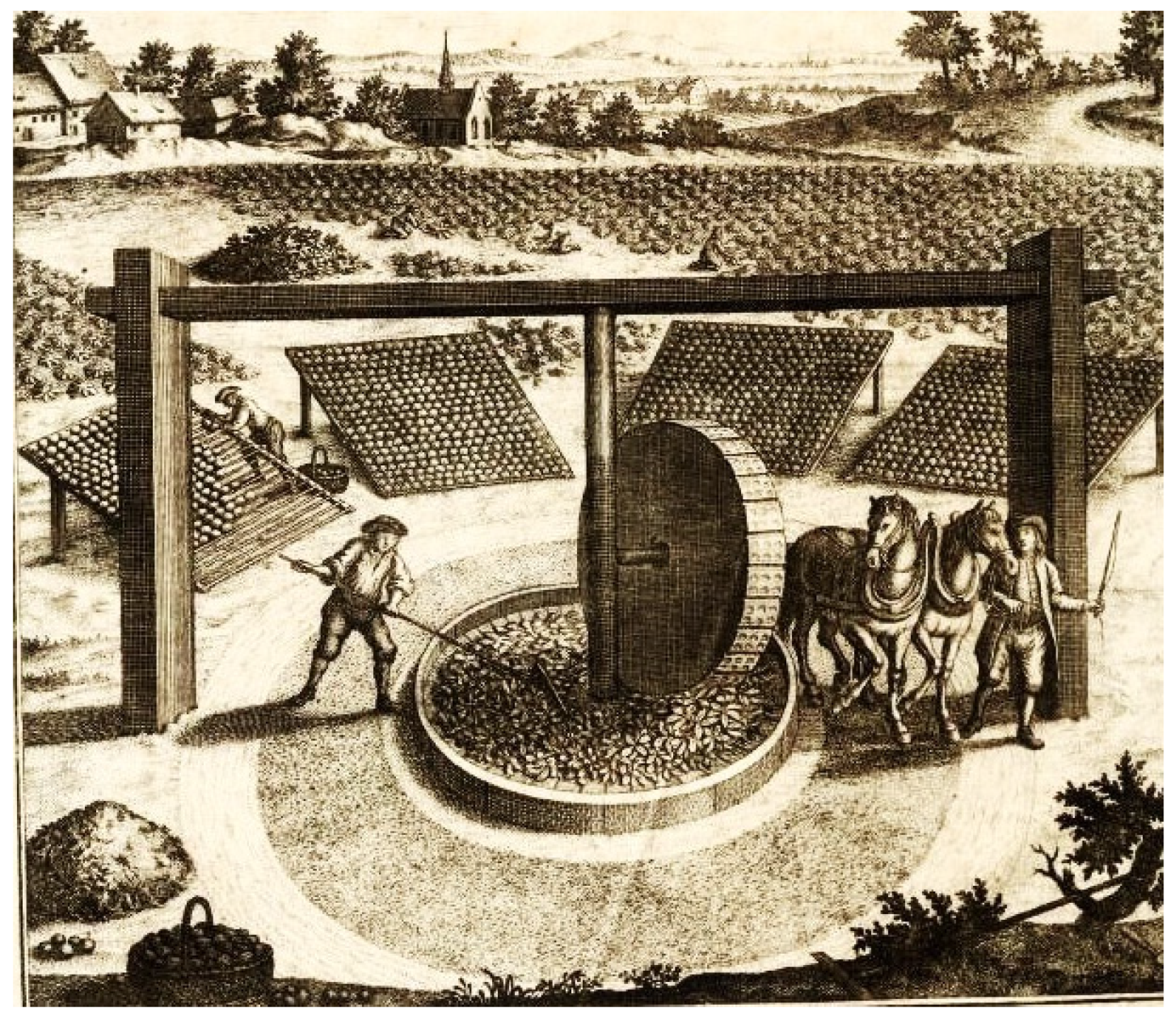 Heritage 07 00042 g001