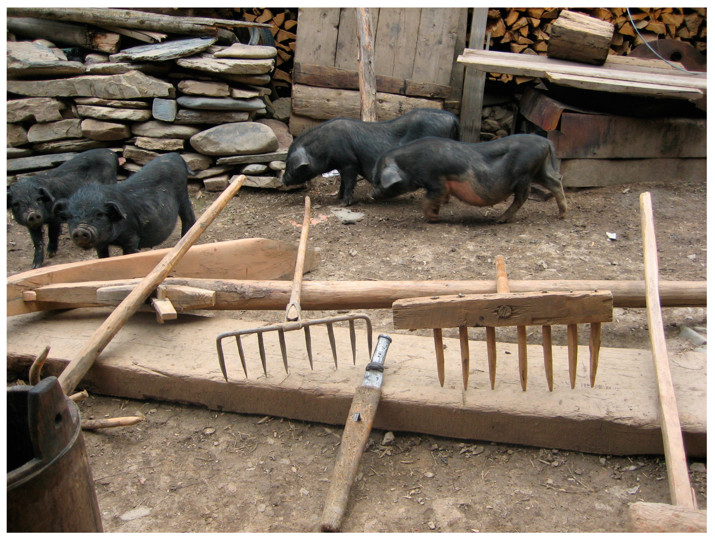 Heritage 07 00046 g008