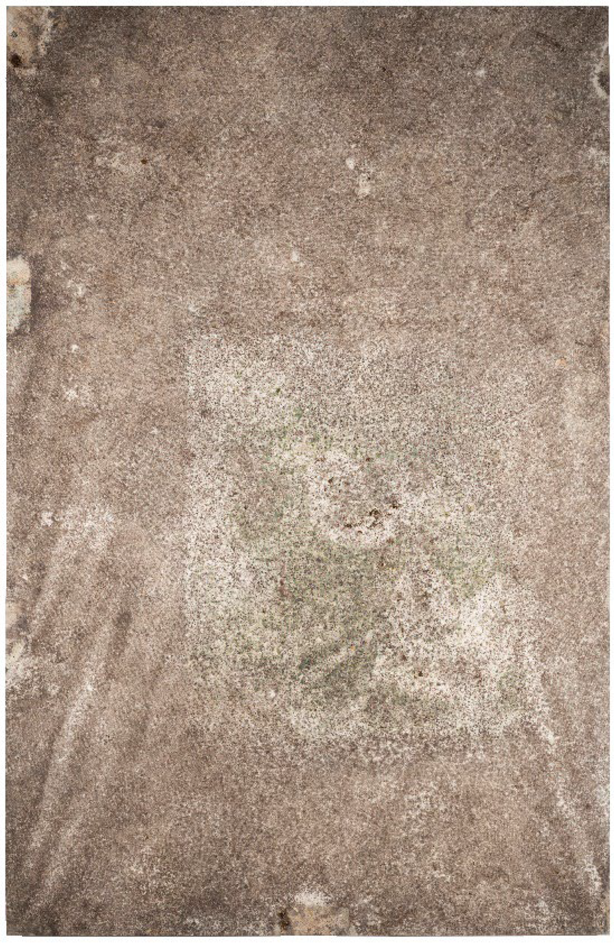 Heritage 07 00069 i004