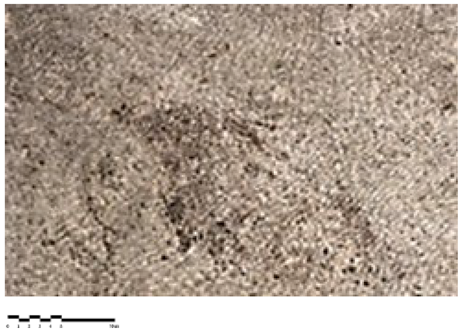 Heritage 07 00069 i006