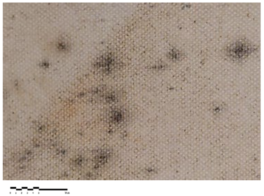 Heritage 07 00069 i010