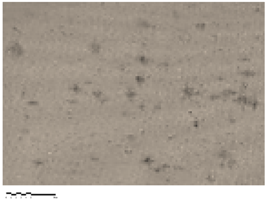 Heritage 07 00069 i011