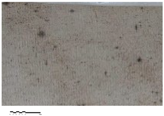 Heritage 07 00069 i012