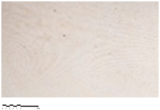 Heritage 07 00069 i015