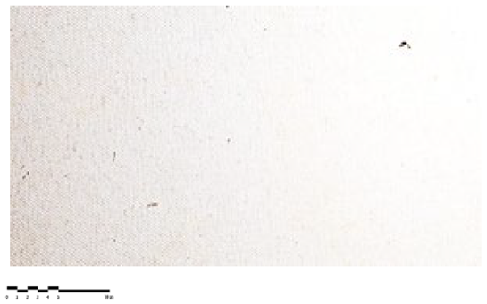 Heritage 07 00069 i016