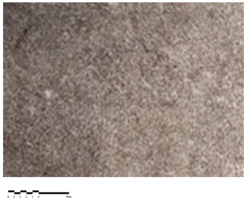 Heritage 07 00069 i017