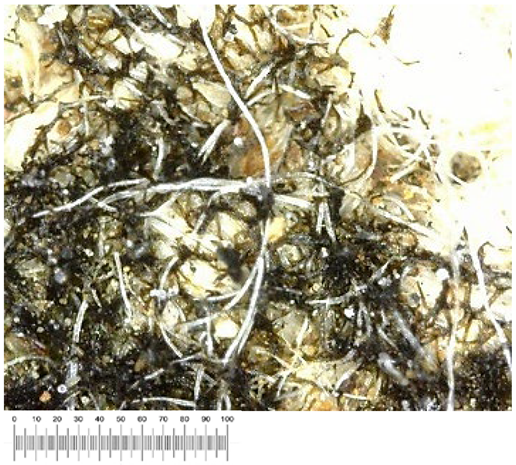 Heritage 07 00069 i021