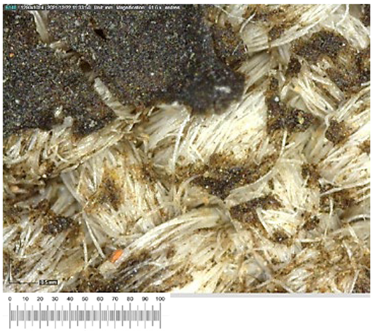 Heritage 07 00069 i022