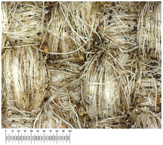 Heritage 07 00069 i024