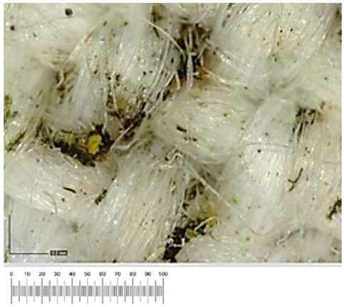 Heritage 07 00069 i025