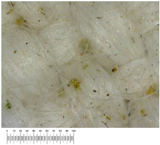 Heritage 07 00069 i028