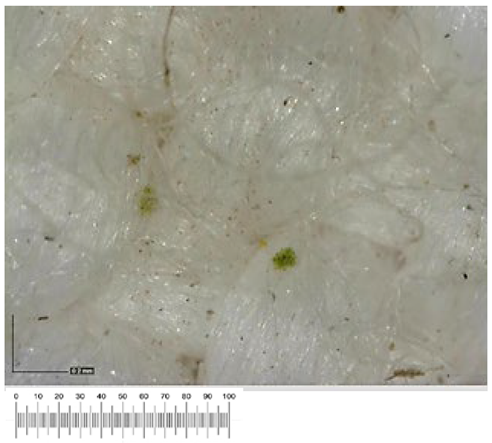 Heritage 07 00069 i029