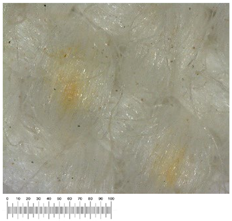 Heritage 07 00069 i031