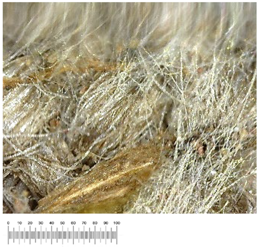 Heritage 07 00069 i035