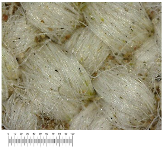 Heritage 07 00069 i036