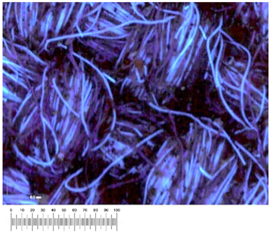 Heritage 07 00069 i038