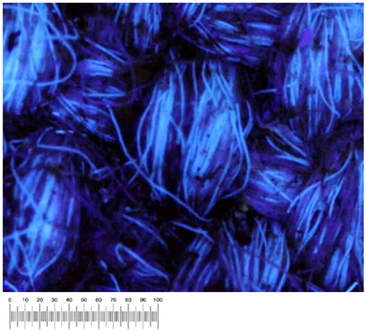 Heritage 07 00069 i039